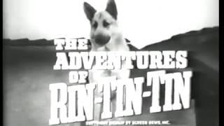 Meet Rin Tin Tin S1 Ep1 The Adventures of Rin Tin Tin