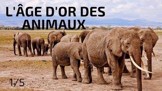 Vivre longtemps LÂge dOr des Animaux 15- Documentaire Animalier