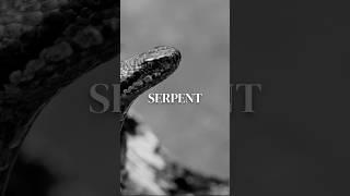 Quand on se fait mordre par un serpent #sagessestoïcienne