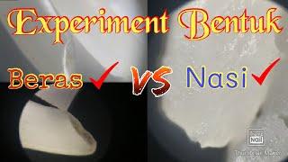 Experiment bentuk beras vs nasi   Experiment sederhana