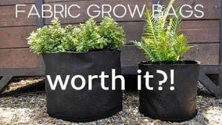 Fabric Pots & Grow Bags My Thoughts