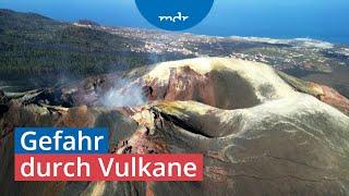 Leben danach La Palma zwei Jahre nach dem Vulkanausbruch  Umschau  MDR