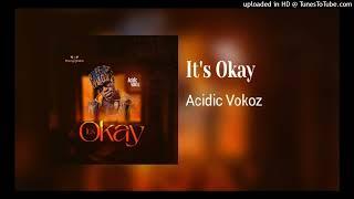 Acidic Vokoz ft Dj Kaks  Its Okay Official Instrumental