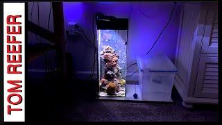 Reef Tank WHAT MAKES NANO REEF TANKS SO COOL