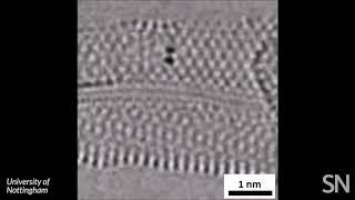 Watch chemical bonds forming and breaking in a molecule  Science News