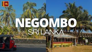 NEGOMBO SRI LANKA 8 days in paradise staying at Negombo Beach  where to eat what to see and do