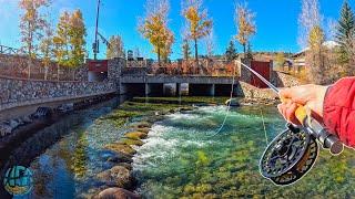 First Time Catching Kokanee Salmon Fly Fishing