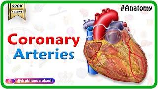 Coronary arteries Anatomy  Blood supply of Heart   Arterial supply of heart  Animation