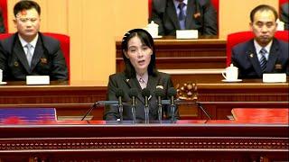 Kim Jong Un had Covid sister tells tearful North Korean audience  AFP