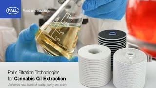 Pall’s Filtration Technologies for Cannabis Oil Extraction