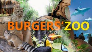 Burgers Zoo Arnheim - Außergewöhnlich und Spektakulär  Zoo-Eindruck