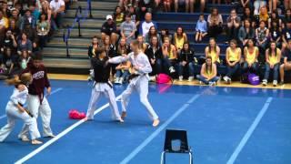 IRHS Tae Kwon Do demonstration 2012