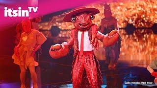 „The Masked Singer“ DIESER Star steckte unter dem Hummer-Kostüm