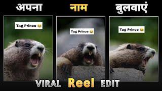 Viral Rat Saying Name Reels Editing  Instagram Trending Reels Editing  New Capcut Template
