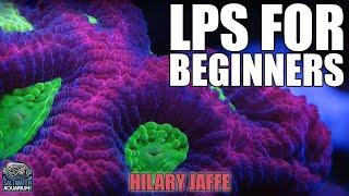 LPS Corals for Beginner Reefers - Hilary Jaffe