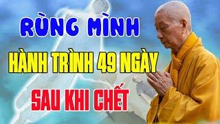 RÙNG MÌNH Khi Nghe Sư TRỤ TRÌ Nói Về Hành Trình 49 Ngày Sau Khi Chết?