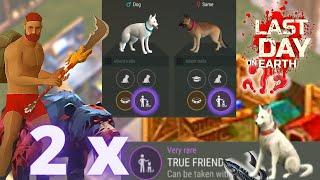 Step By Step How to get True Friend x 2  Last Day On Earth Survival