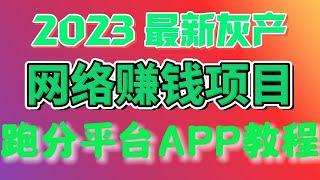 2023灰产项目网赚 网络赚钱 毫无风险，教你十分钟就可以赚到1000。灰产 跑分 跑货 真实演示（真实网站测试）