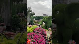 Dubai Mirace Garden  Flowers  Nature  Beauty  Visit Dubai  Enjoy Nature #heeriye