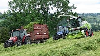 Cumbrian Silage - Lifting Grass on Slopes with Claas Jaguar 860 - New Hollands Massey 390T & Case