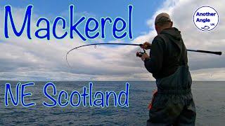 Mackerel fishing from the shore  North East Scotland  Aberdeenshire