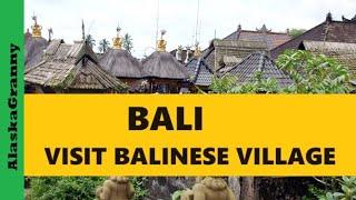 Bali  Visit To Balinese Village  Indonesia