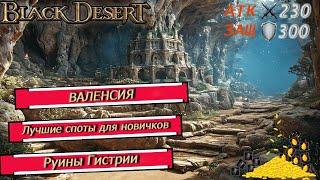 Лучшие места  фарма для начинающих - БДО 2024 - BLACK DESERT Online -  ВАЛЕНСИЯ - Руины Гистрии