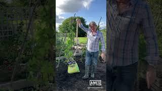 David Domoney AMES Garden Tips - Clean your wellies with a garden spade