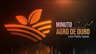 Grãos sobem exportações de carne Fiagros saltam e investimento em Santos  Minuto Agro - 2505