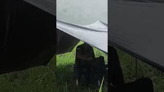 Camping hujan deras dan petir #camping @BENGKELBRAIN#solocampinginheavyrain #solocamping #shorts