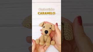 Cachorrinho Amigurumi CLICA NO ÍCONE DO PLAY PARA A AULA COMPLETA #amigurumipassoapasso