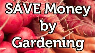 12 Easy Tips To Save Money While Gardening