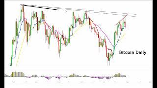 BTC Red Alert  Bitcoin Momentum Signals Turning Bearish For the Tuesday Session