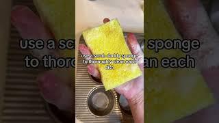 7 Steps to a Spotless Sink From Dirty Dishes to Shiny Clean   #ScrubDaddy #cleaningmotivation