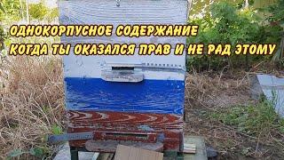 пчеловодство однокорпусное содержание когда ты оказался прав и не рад этому пасека