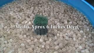 Brand New DIY Pond Filter System Thats So Easy to Clean. 2014