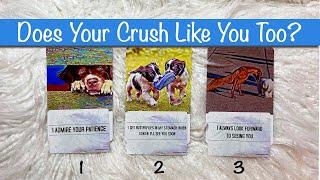 Does Your Crush Like You Too?  How Do They Feel About You?   pick-a-card tarot reading