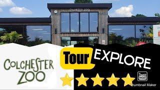 Colchester Zoo Tour Explore - 100s of animals - Worth Visiting  Best Zoo in the UK? #zoo #animals