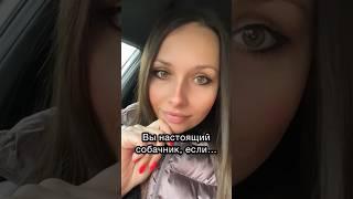 Вы - НАСТОЯЩИЙ собачник ЕСЛИ… #shorts