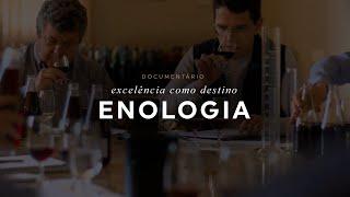 Documentário - Família Salton Excelência como destino - Enologia