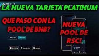 QUE SON LAS NUEVAS TARJETAS??  NUEVA POOL Y QUE PASO CON LA POOL DE BNB  RISEBIT NFT