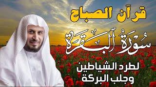 قرآن الصباح  سورة البقرة لجلب الرزق وحفظ المنزل بإذن الله  بصوت الشيخ  سعد الغامدي