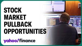 Market opportunities for investors to consider amid pullback