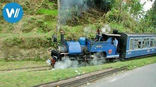 Die Teebahn von Darjeeling 360° - GEO Reportage