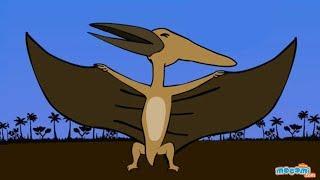 What is a Pterosaur? - Flying Reptiles Facts for Kids  Educational Videos by Mocomi