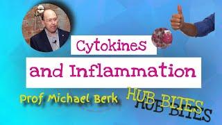 Cytokines and Inflammation - Professor Michael Berk