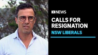 NSW Liberal Party in turmoil after failing to nominate candidates for local elections  ABC News