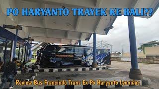 Po Haryanto Buka Trayek ke Bali? Review Fransindo Trans eks Po Haryanto Leonidas by Madjoe Group