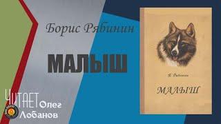 Борис  Рябинин. Малыш. Из сборника Рассказы о верном друге. Аудиокнига.