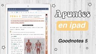  GoodNotes 5 Tutorial Cómo tomar apuntes en el iPad con GoodNotes  HardPeach